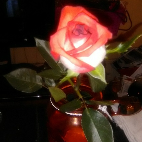 Meet your Posher, Stefanie - Picture 1 of 1